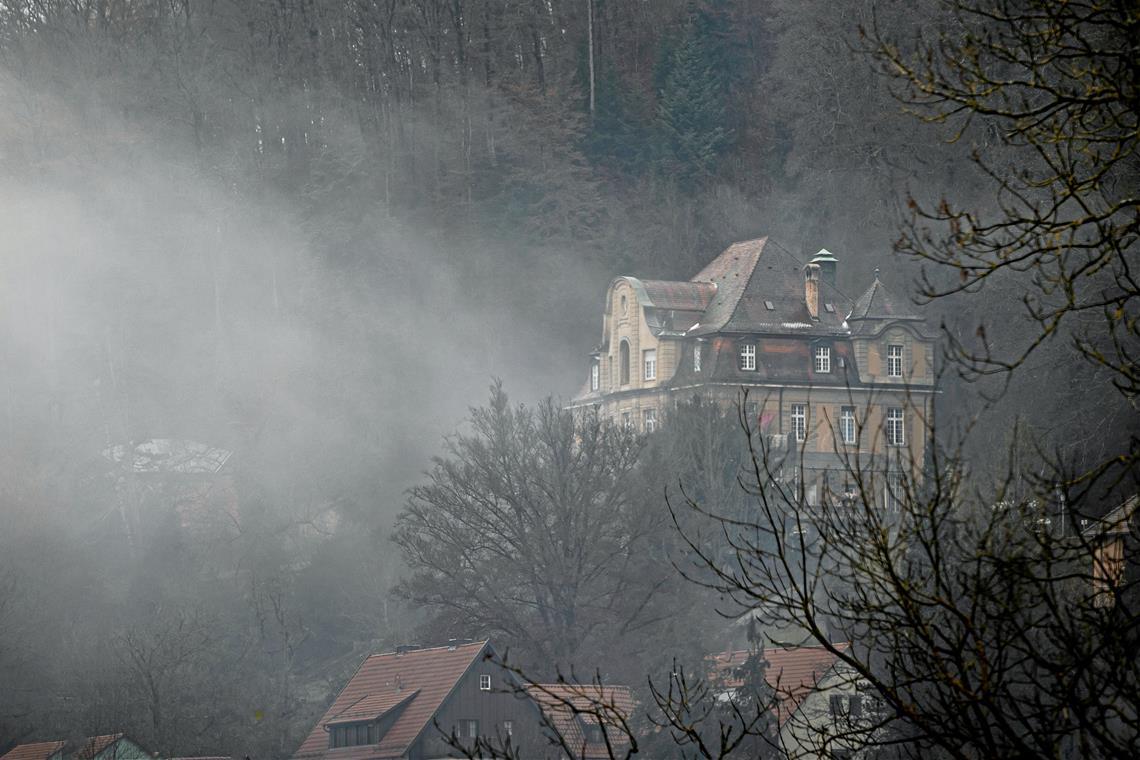 Die Zukunft der Villa Franck könnte bald entschieden sein. Archivfoto: Alexander Becher