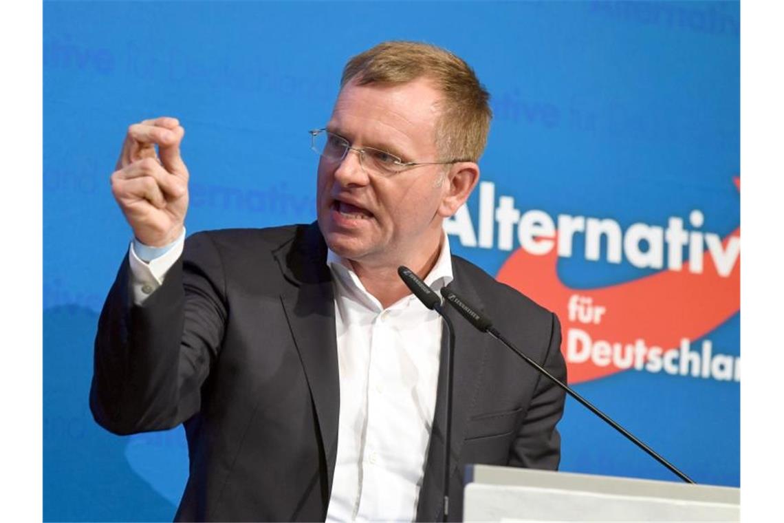 AfD-Vorstand prüft nach Demo Ordnungsmaßnahmen gegen Spaniel Dirk Spaniel spricht beim Landesparteitag der AfD Baden-Württemberg. Foto: Uli Deck/dpa/Archiv