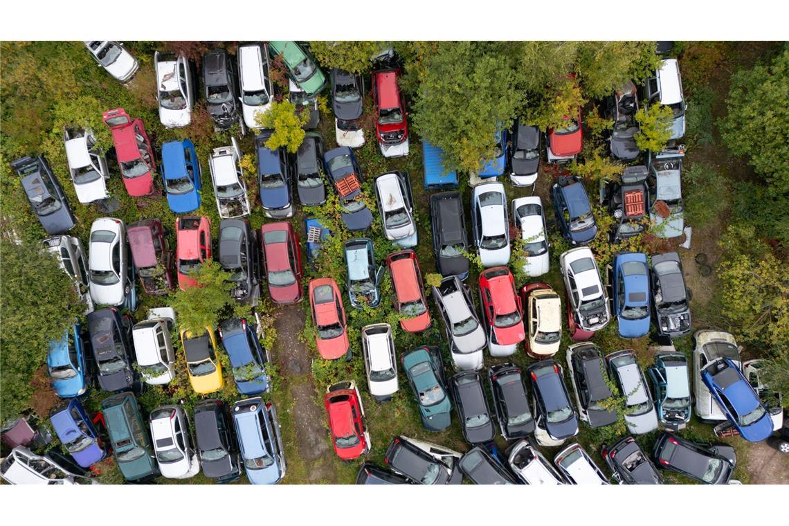 Diskussion um Abwrackprämie für Autos: ausgediente Verbrennerautos stehen auf einem Schrottplatz.