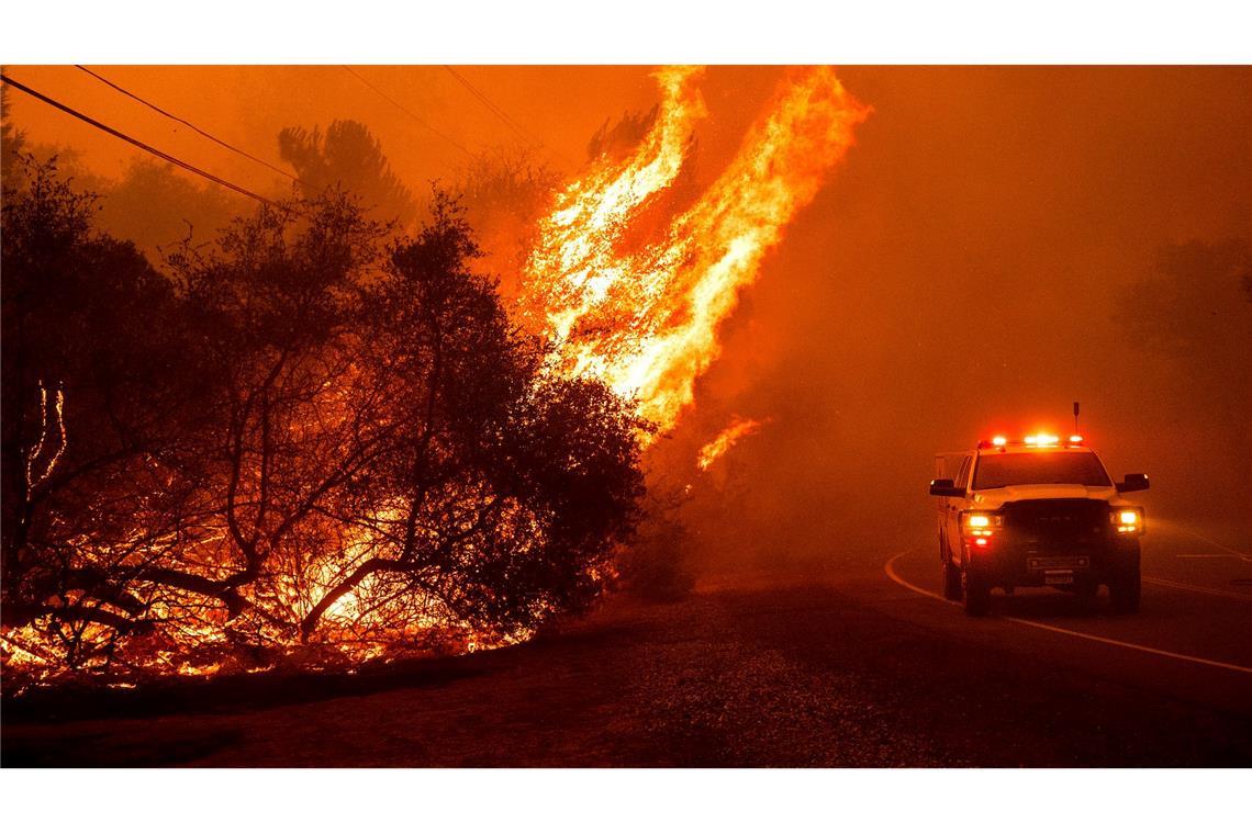 Dramatische Szenen in Kalifornien: Meterhohe Flammen sind in Oroville bei Waldbränden während der anhaltenden Hitzewelle in Nordkalifornien zu sehen.