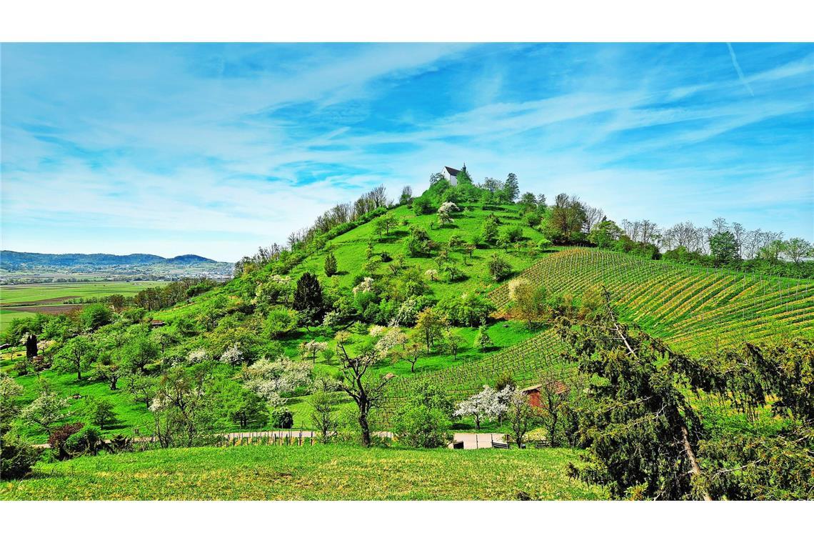 „Droben stehet die Kapelle, Schauet still in’s Thal hinab“: Ludwig Uhland verewigte die Wurmlinger Kapelle literarisch.