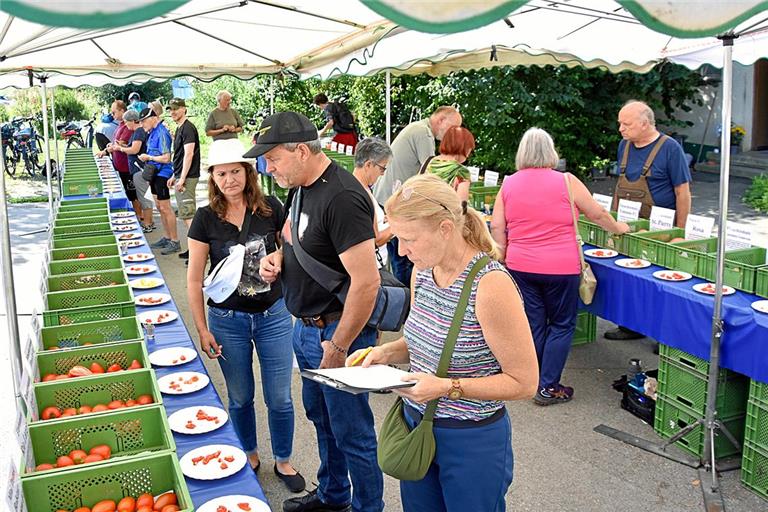 Durch fast 50 verschiedene Tomatensorten können sich die Besucherinnen und Besucher durchprobieren. Dazu gibt es Klemmbretter mit Laufzetteln, um die Sorten zu bewerten. Fotos: Tobias Sellmaier