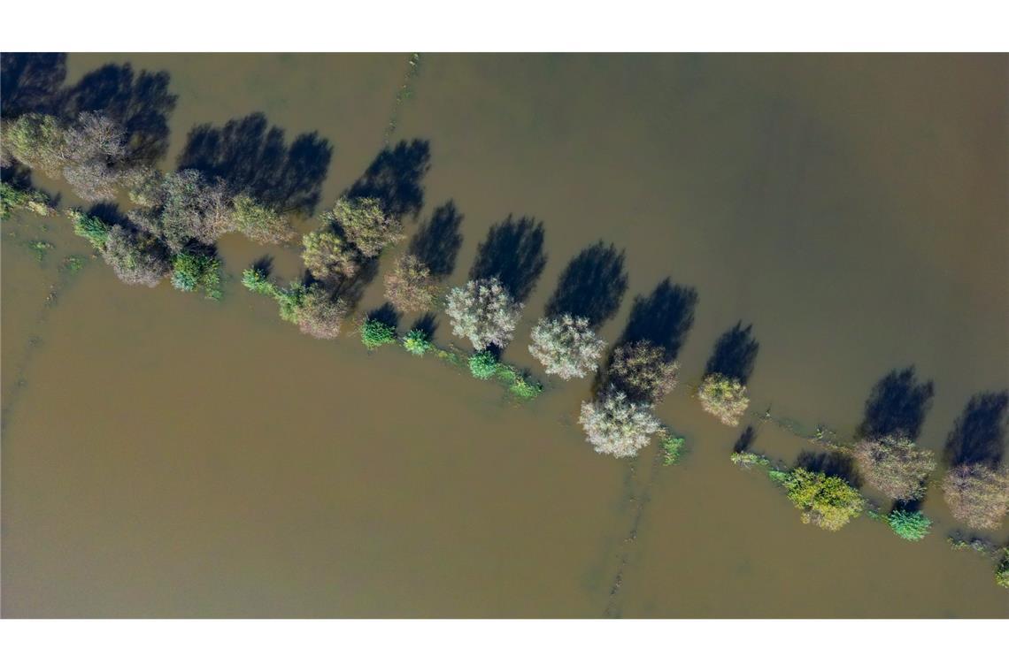 Ein Blick aus der Vogelperspektive über das Hochwasser in Brandenburg.