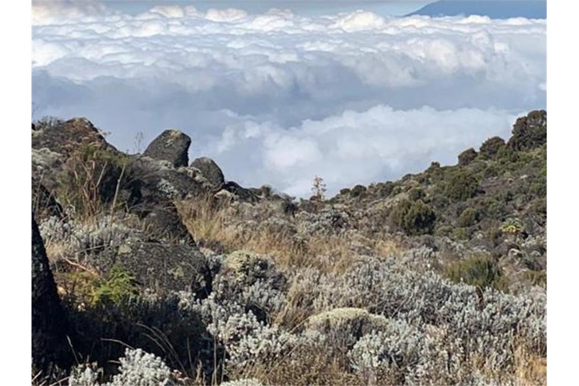 Ein Blick vom 3900 Meter hoch gelegenen Camp auf die unterhalb gelegenen Qualmwolken. Foto: Debbie Bachmann/-/dpa