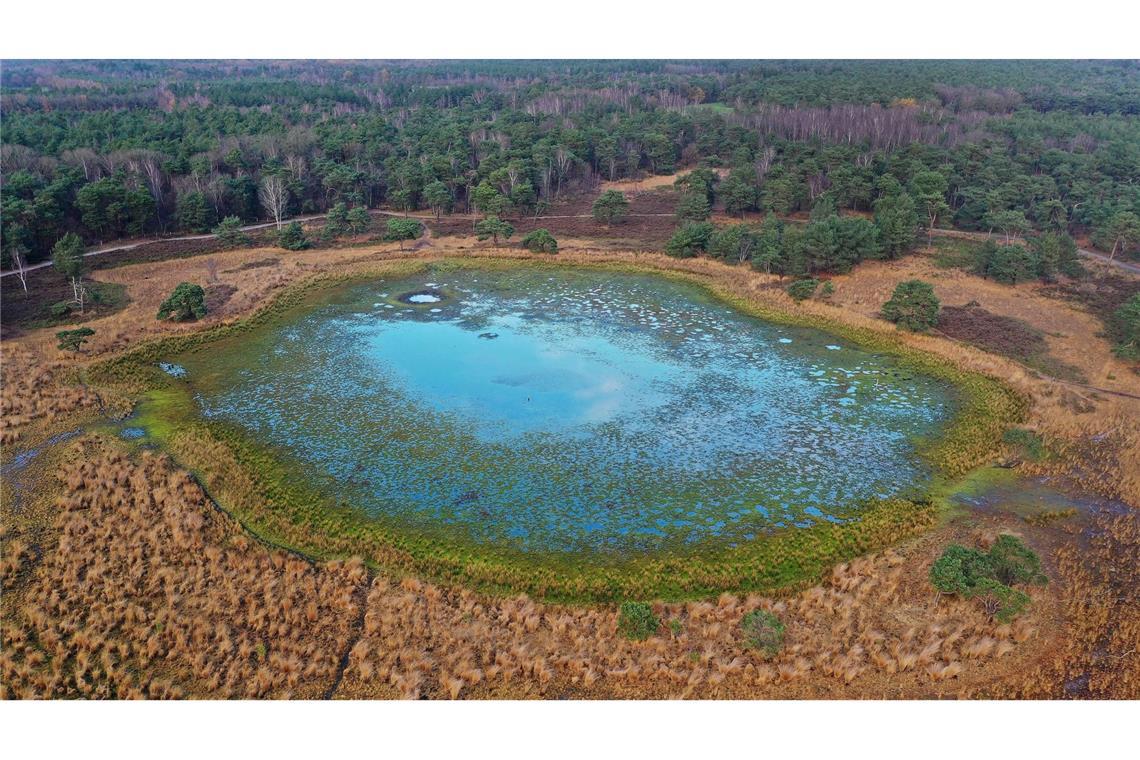 Ein fast ausgetrockneter Teich aufgrund von fehlendem Regen in der Strijbeekse Heide (Niederlande).