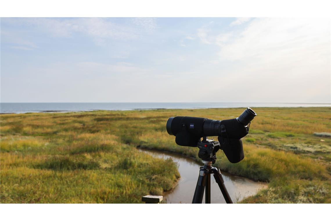 Ein Fernglas zur Vogelbeobachtung steht auf der Veranda des Pfahlbaus auf der Hallig Norderoog.