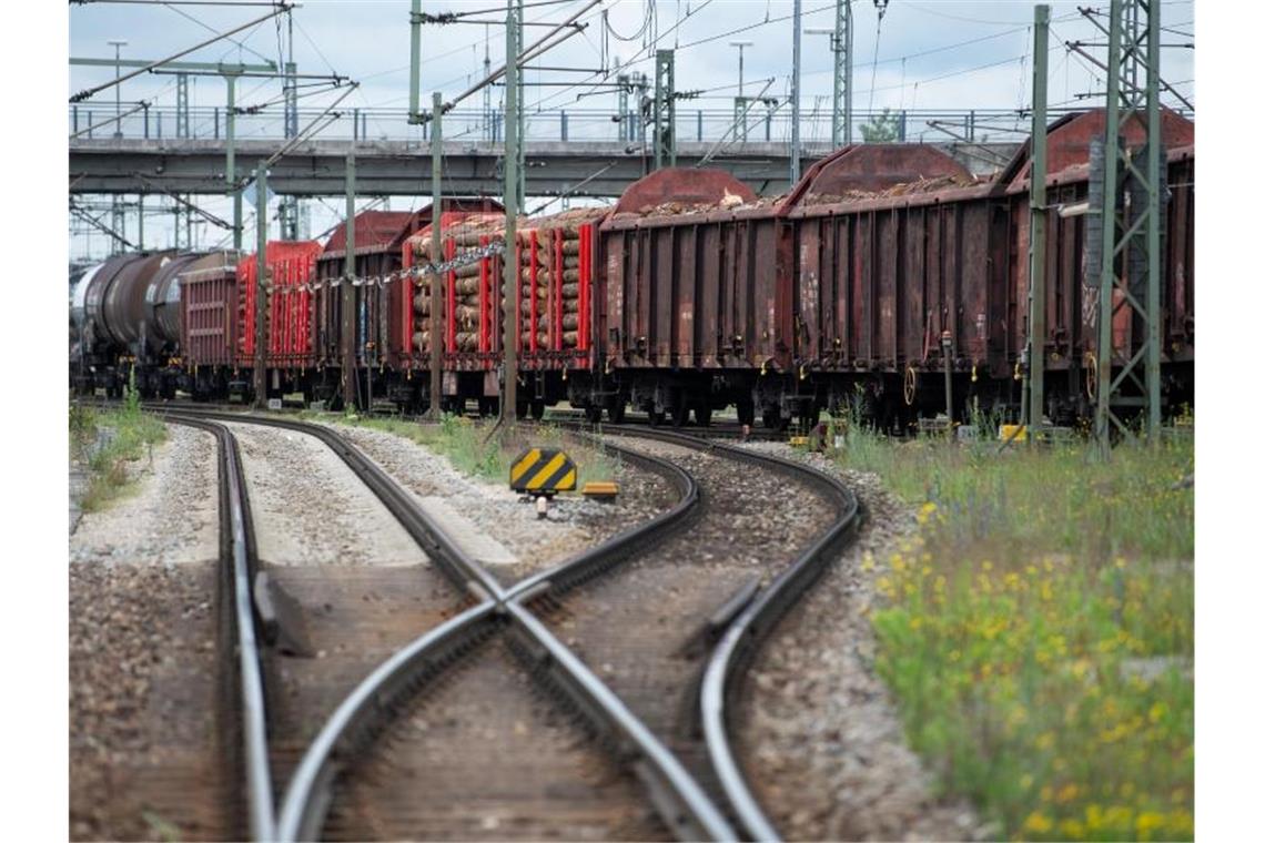 Ein Güterzug steht an einem Bahnhof. Foto: Sven Hoppe/dpa/Symbolbild