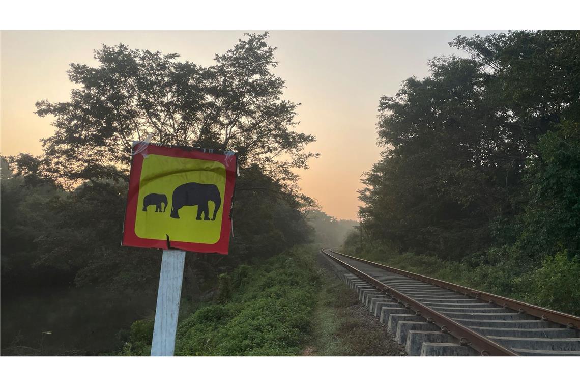 Ein Hinweisschild warnt vor wilden Elefanten. (Foto aktuell)