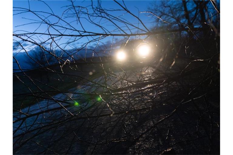 Ein junger, entwurzelter Baum liegt auf einer Straße. Foto: Nicolas Armer/dpa/Symbolbild