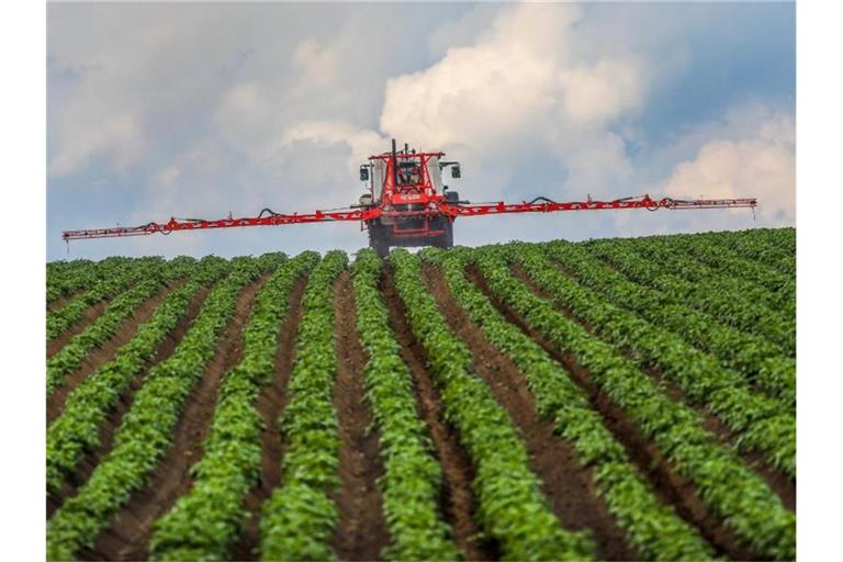 Ein Landwirt spritzt sein Kartoffelfeld mit einem Fungizid. Foto: Thomas Warnack/dpa/Archivbild