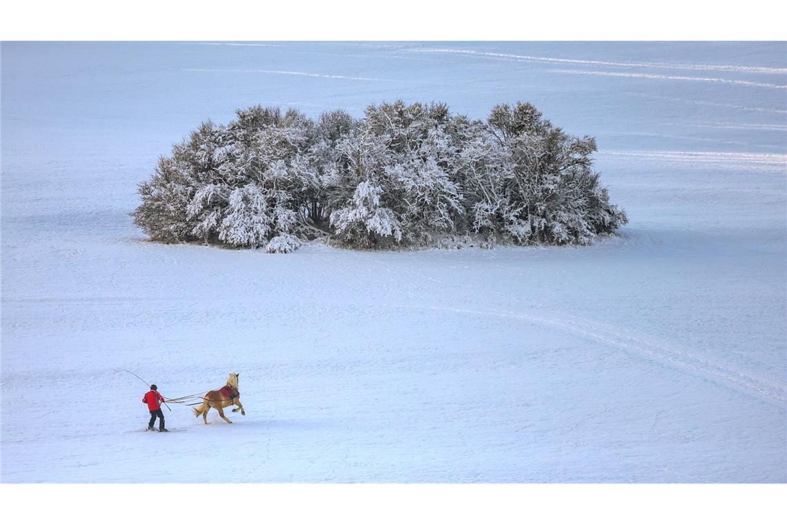 Ein Mann auf Skiern lässt sich auf der schwäbischen Alb von einem Pferd durch die verschneite Landschaft ziehen.