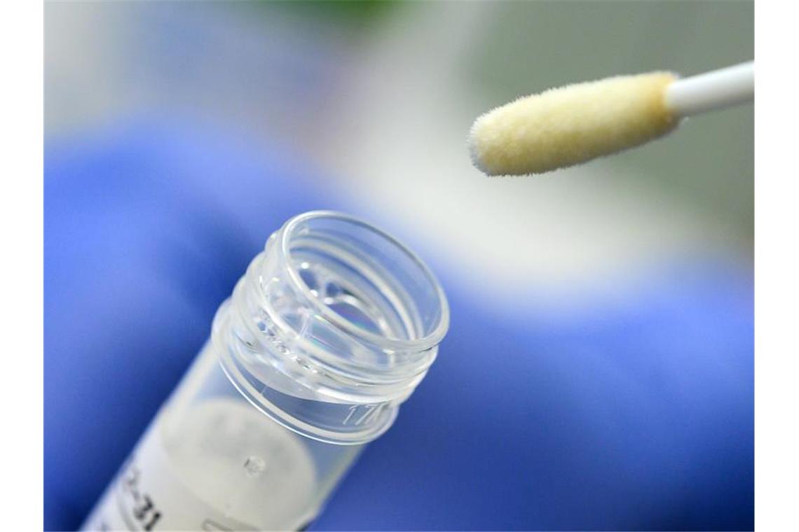 Corona-Ausbruch in Flüchtlingsunterkunft in Ellwangen Ein Mann hält ein Stäbchen für einen Abstrich für einen Corona-Test über ein Röhrchen. Foto: Sebastian Gollnow/dpa/Symbolbild