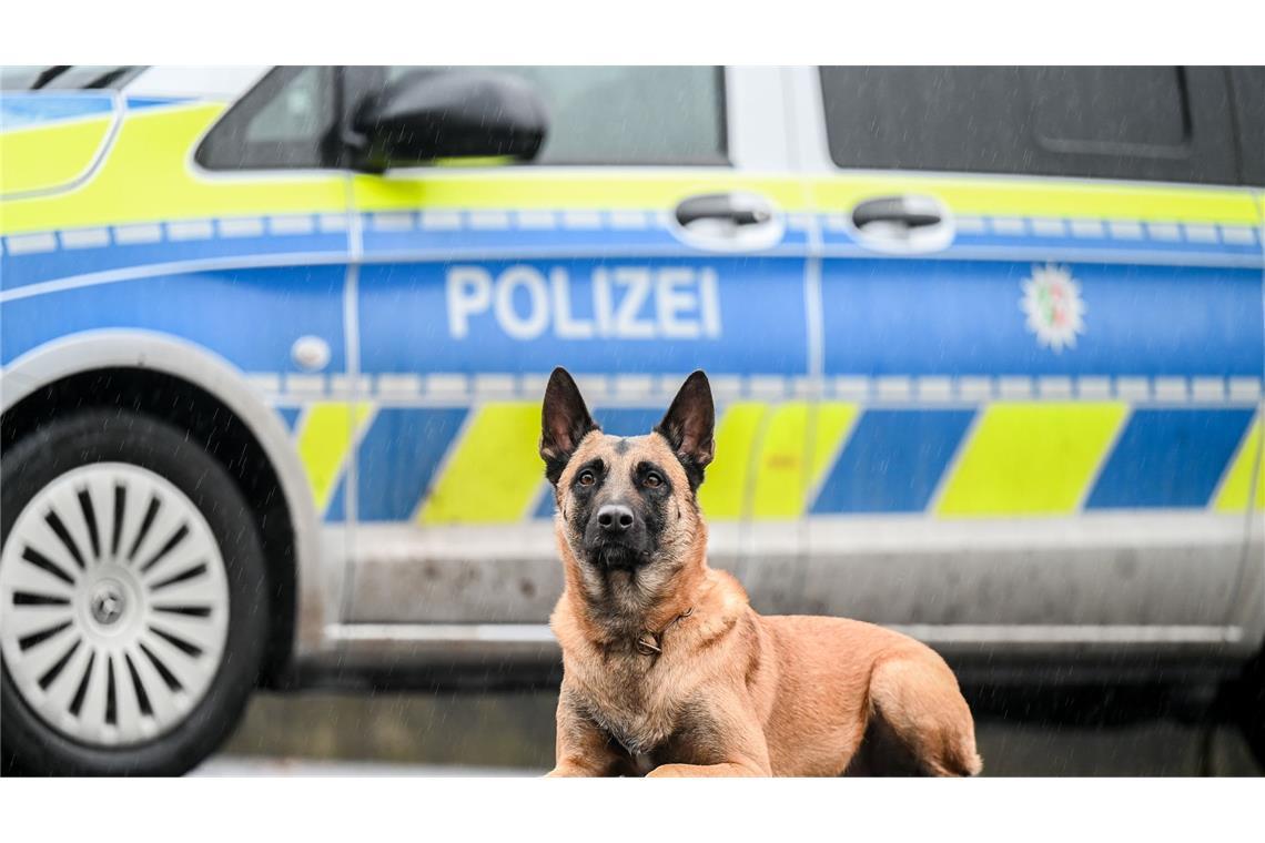 Ein Mann hat einen Polizeihund angegriffen. Dieser hat sich gewehrt. (Symbolbild)