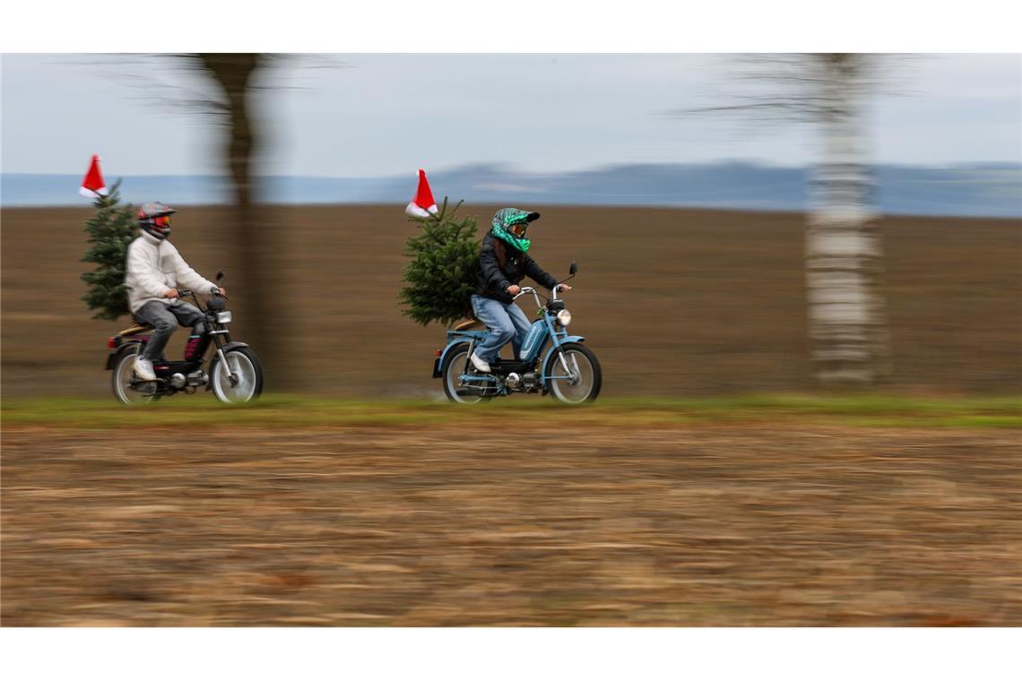 Ein Mann und eine Frau sind mit Mofas, auf denen jeweils ein Weihnachtsbaum montiert ist, am 2. Advent bei Erisdorf in baden-Württemberg unterwegs