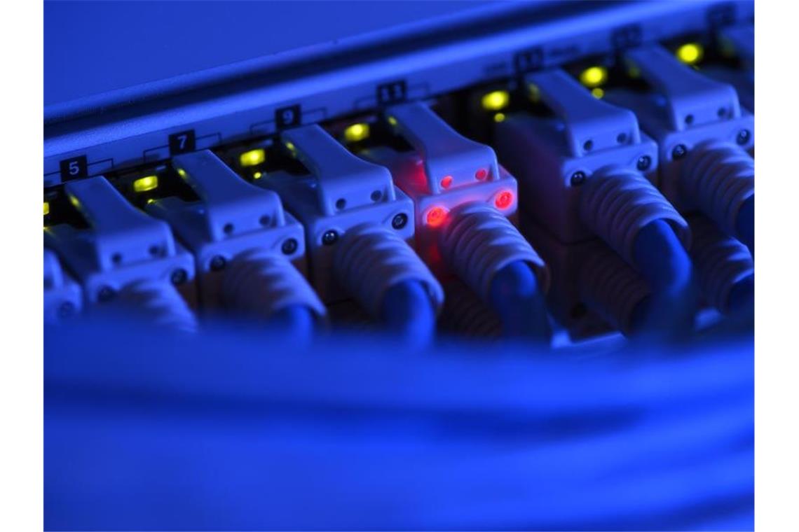 Künstliche Intelligenz für Cybersicherheit? Experten beraten Ein Netzwerk-Kabelstecker leuchtet in der Netzwerkzentrale einer Firma zu Kontrollzwecken rot. Foto: Felix Kästle/dpa/Archivbild