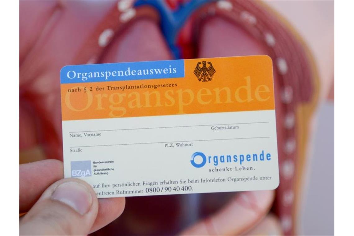 Baden-Württemberger skeptisch gegenüber Organspenden Ein Organspendeausweis, aufgenommen vor dem Modell eines menschlichen Torsos. Foto: Daniel Maurer/dpa/Archivbild