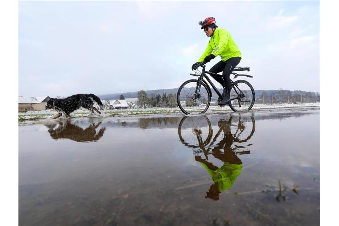 Ein Radfahrer und sein Hund auf einem von Wasser überfluteten Weg nahe der Donau. Foto: Thomas Warnack/dpa