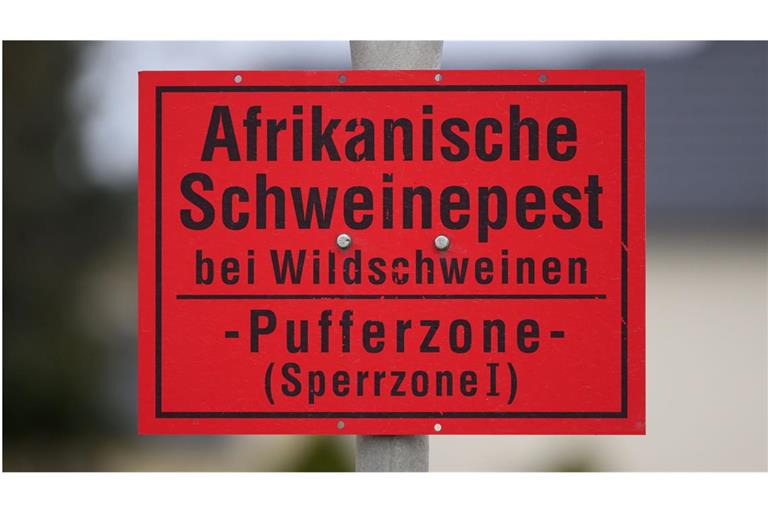 Ein Schild „Afrikanische Schweinepest bei Wildschweinen - Pufferzone (Sperrzone 1)“ ist an einem Ortseingangsschild im Landkreis Bautzen montiert.