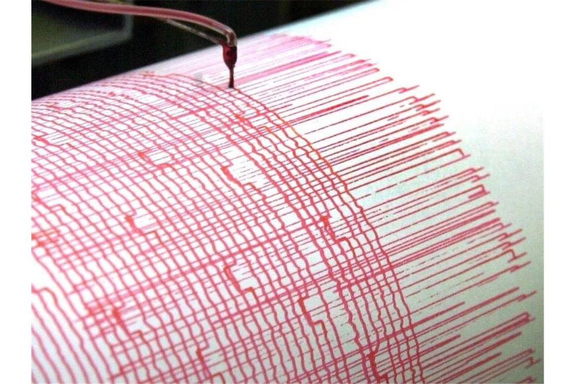 Ein Seismograph zeichnet die Ausschläge eines Erdbebens auf. Foto: Bernd Thissen/dpa