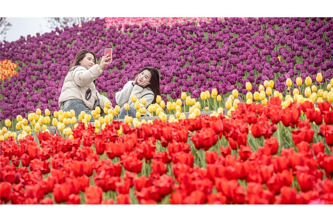 Ein Selfie inmitten von Tulpen: Zwei Besucherinnen in der südwestchinesischen Stadt Chongqing.