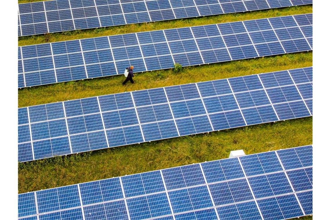 Mehrheit gegen zusätzliche Kosten für mehr Klimaschutz Ein Solarpark in Großbritannien. Foto: Ben Birchall/PA Wire/dpa
