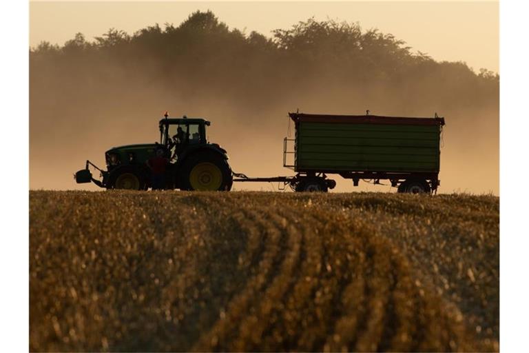 Ein Traktor steht bei Sonnenuntergang mit einem Anhänger auf einem abgeernteten Feld. Foto: Sebastian Kahnert/dpa-Zentralbild/dpa/Symbolbild