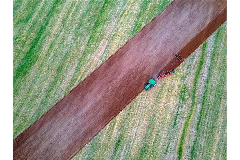 Ein Traktor zieht Pflug und Egge über ein abgeerntetes Feld. Foto: Jens Büttner/dpa-Zentralbild/dpa/Symbolbild