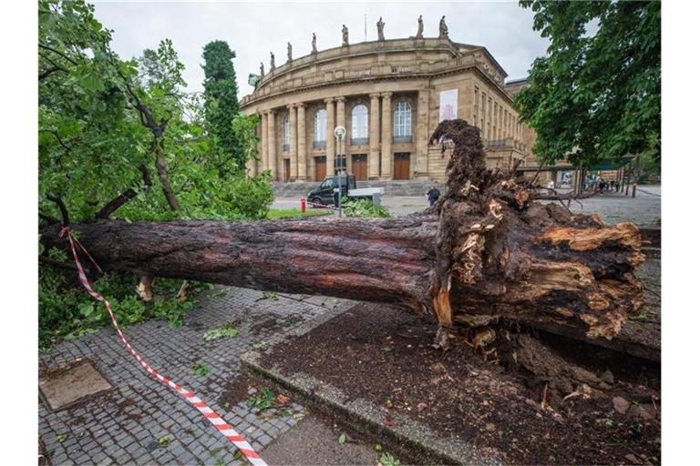 Ein umgestürzter Baum liegt vor dem Opernhaus. Foto: Christoph Schmidt/dpa