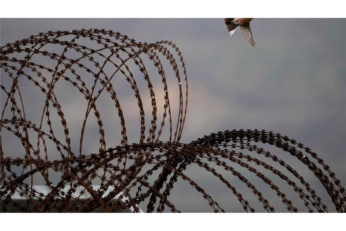 Ein Vogel fliegt über den Sicherheitszaun in der Nähe der so genannten Alpha-Linie, die die israelisch kontrollierten Golanhöhen von Syrien trennt.