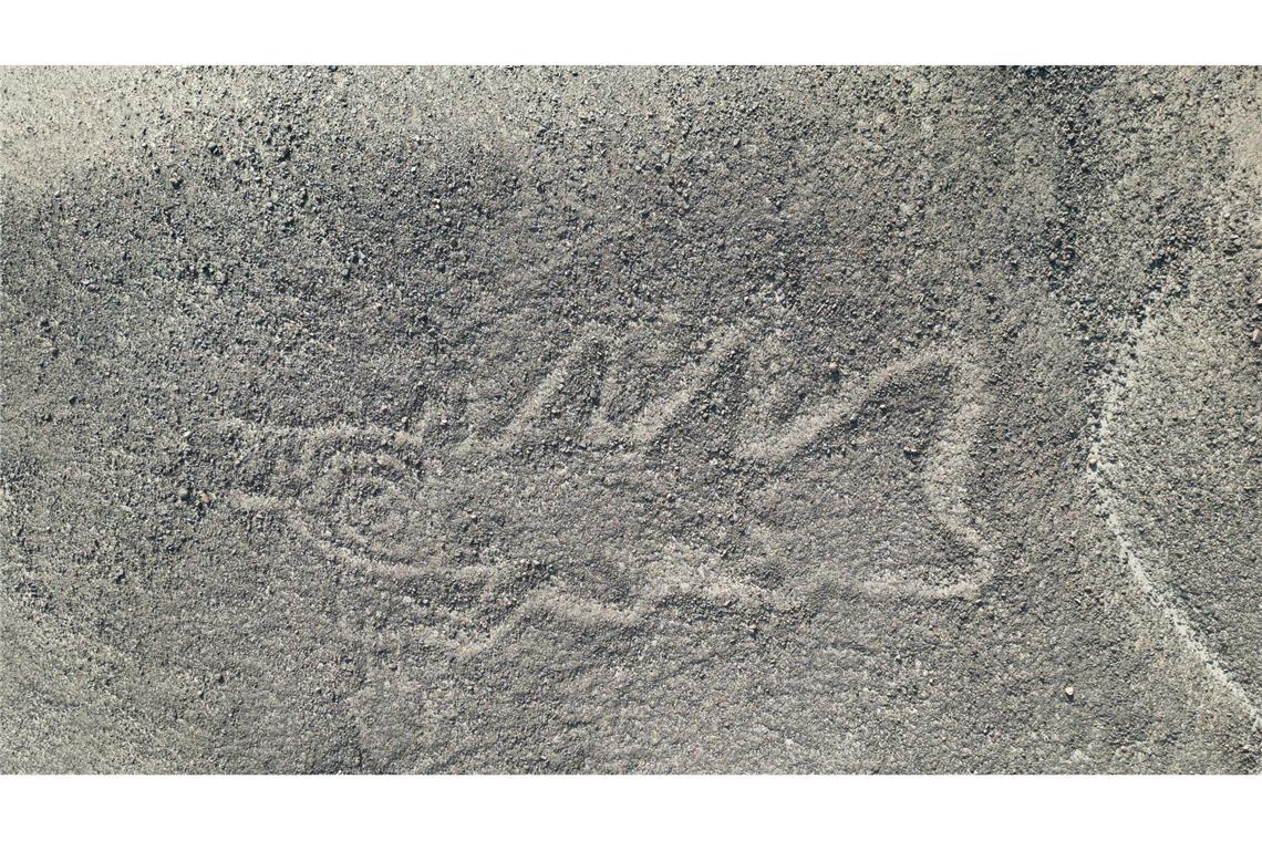 Eine 22 Meter lange reliefartige Geoglyphe, die nach Forscherangaben einen Wal darstellt, wurde im Süden Perus entdeckt.