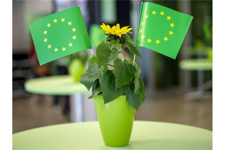 Eine Blume und EU-Flaggen in Grün von Bündnis 90/Die Grünen. Foto: Maja Hitij/Maja Hitij