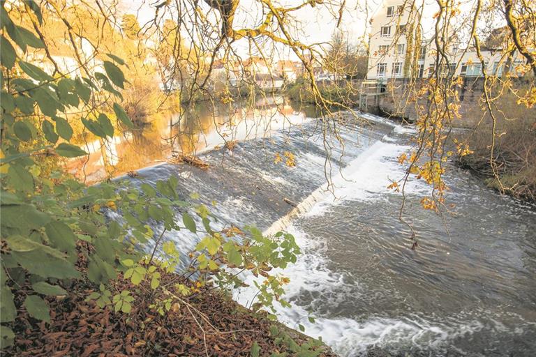 Eine europäische Wasserrahmenrichtlinie schreibt vor, dass Wehre wie beim Biegel bis 2027 umgebaut werden müssen. Foto: Alexander Becher