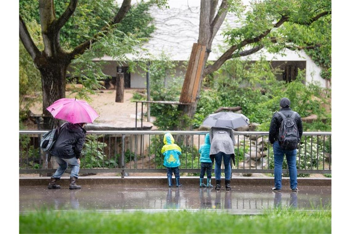 Eine Familie steht vor dem Löwengehege im Zoo. Foto: Sebastian Gollnow/dpa/Archivbild