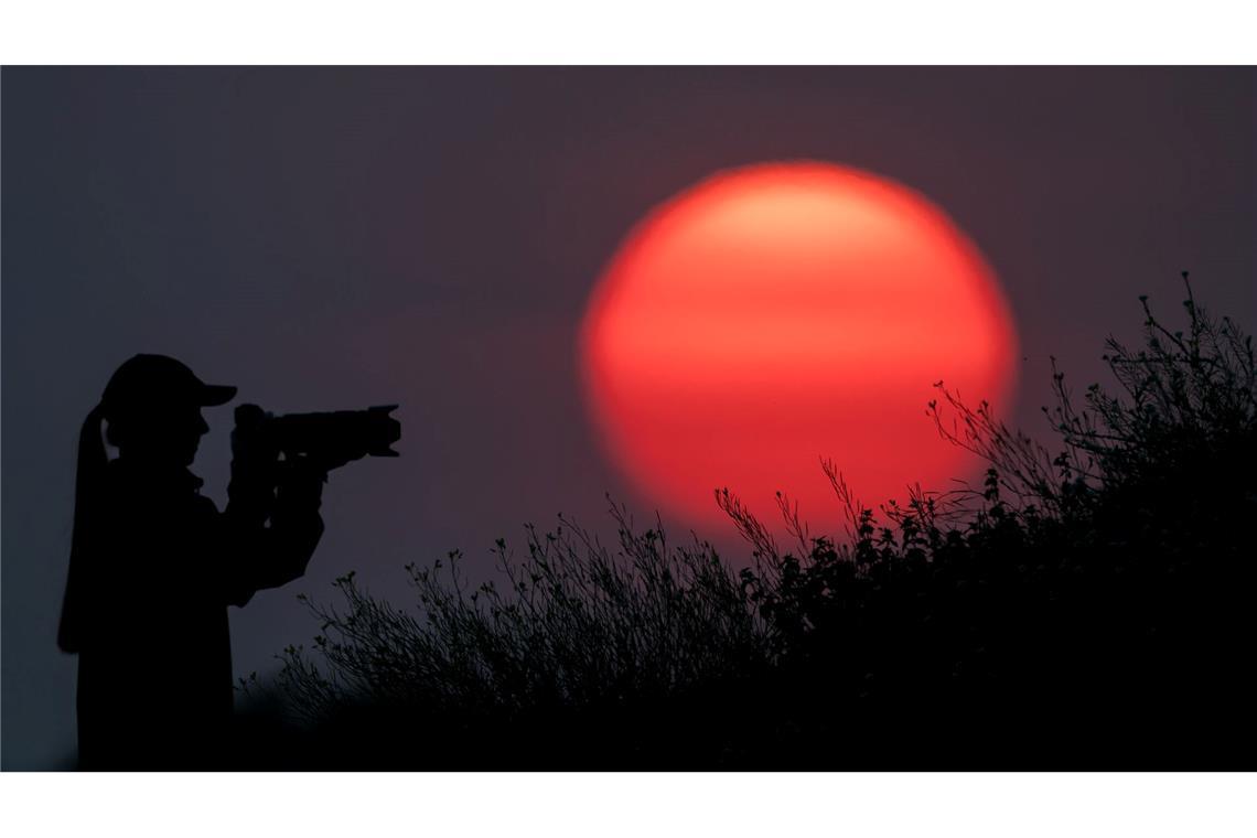 Eine Frau fotografiert im Sonnenuntergang an einem Feldrand in Brandenburg.