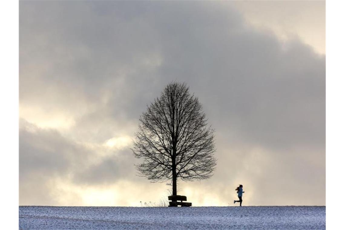 Eine Frau läuft auf der Schwäbischen Alb an einem Baum vorbei. Foto: Thomas Warnack/dpa/Archivbild