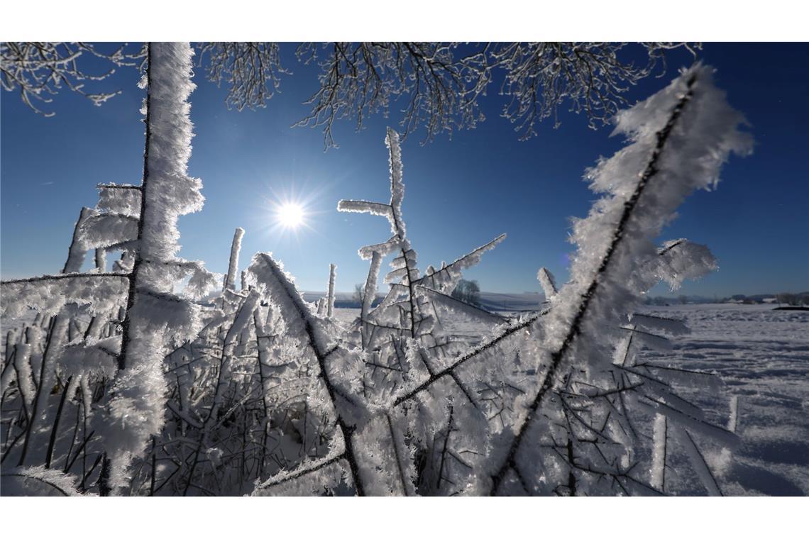 Eine Landschaft in Weiß - für viele bleibt die ein weihnachtlicher Traum.