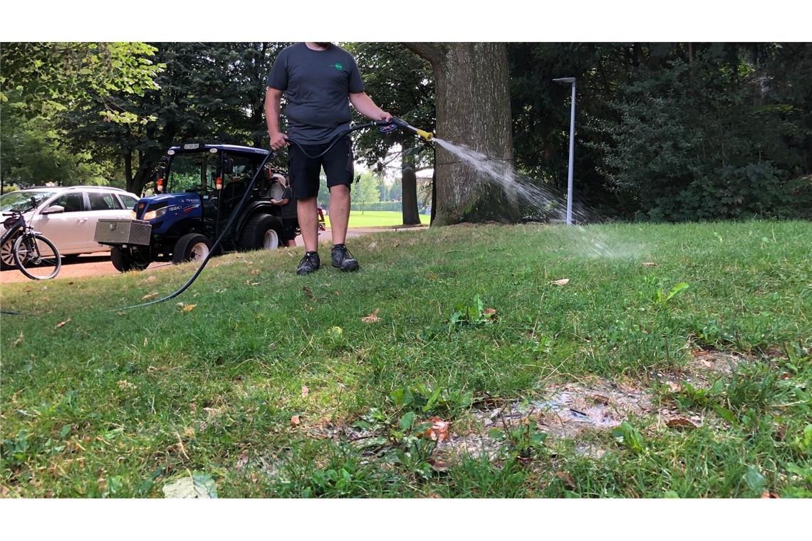 Eine Lösung mit Fadenwürmern wird in einem Park verspritzt.