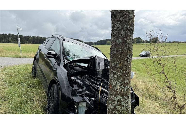 Eine Mutter und ihre drei Kinder werden bei dem Unfall verletzt. (Symbolbild)