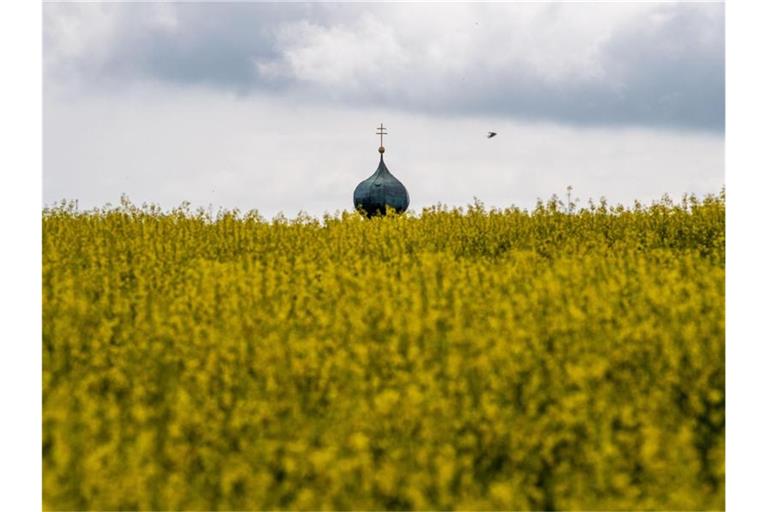 Eine Schwalbe fliegt vor einer Kirchturmspitze vorbei, die vor Dunklen Wolken hinter einem Rapsfeld zu sehen ist. Foto: Lino Mirgeler/Archiv