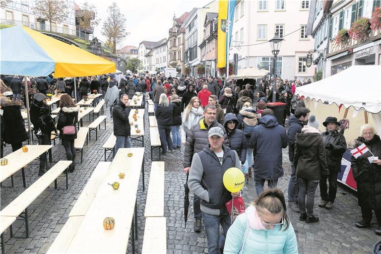 Einen verkaufsoffenen Sonntag wie beispielsweise in den letzten Jahren im Rahmen des Gänsemarkts wird es in diesem Jahr in Backnang nicht geben. Archivfoto: J. Fiedler