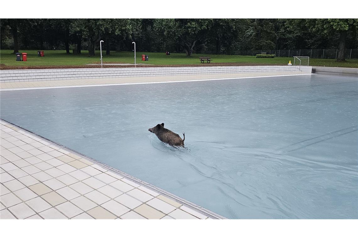 Einer der beiden Badegäste genießt die Abkühlung im Wellenbecken.