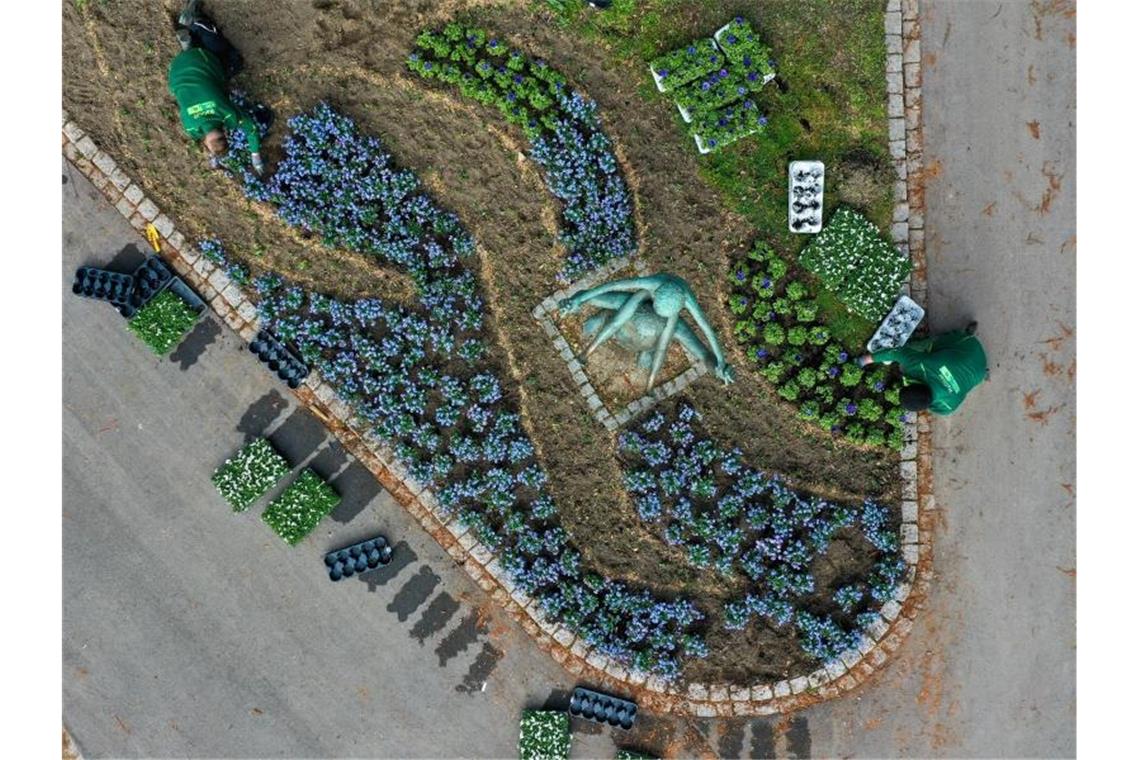 Landesgartenschau Überlingen wird erneut verschoben Ein Gärtner pflanzt am Ufer des Bodensees Vergissmeinnicht an. Foto: Felix Kästle/dpa/Archivbild