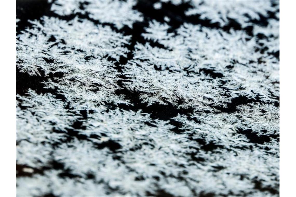 Winterliche Temperaturen und Glätte in Baden-Württemberg Eisblumen. Foto: Patrick Pleul/dpa-Zentralbild/ZB/Archivbild