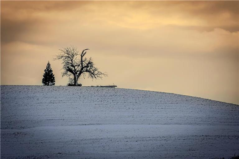 Ende November fiel der erste Schnee des Winters, wie hier auf dem Dauernberg bei Spiegelberg. Foto: Alexander Becher