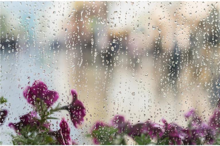 Erfahren Sie, wie man vorgehen sollte, wenn man Fenster auch bei Regen putzen möchte.