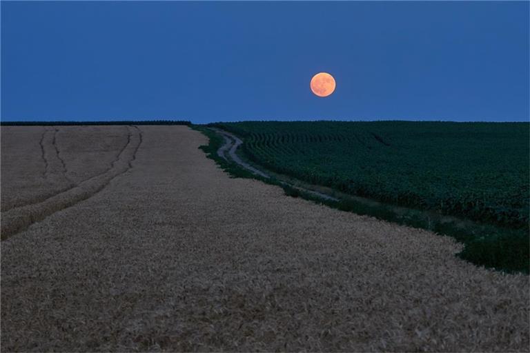 Erfahren Sie, wo genau der Mond aufgeht und warum sich dies immer ändert. Alles Wichtige zu Himmelsrichtungen und Zeitpunkten.