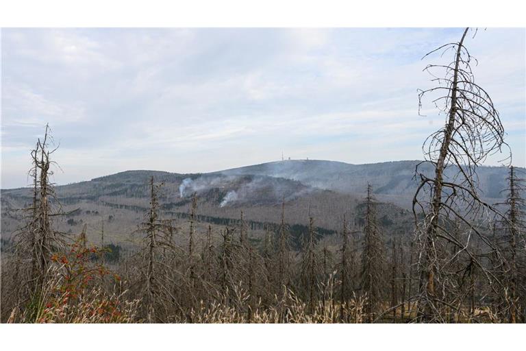 Es gibt noch mehrere Brandstellen am Brocken (Foto aktuell).