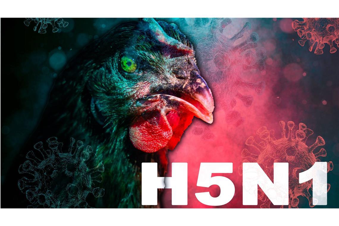 Experten halten den Befall von Rindern durch H5N1 für besorgniserregend, weil sich das Virus in einer großen Population von Säugetieren vermehrt, die vom Menschen genutzt werden.