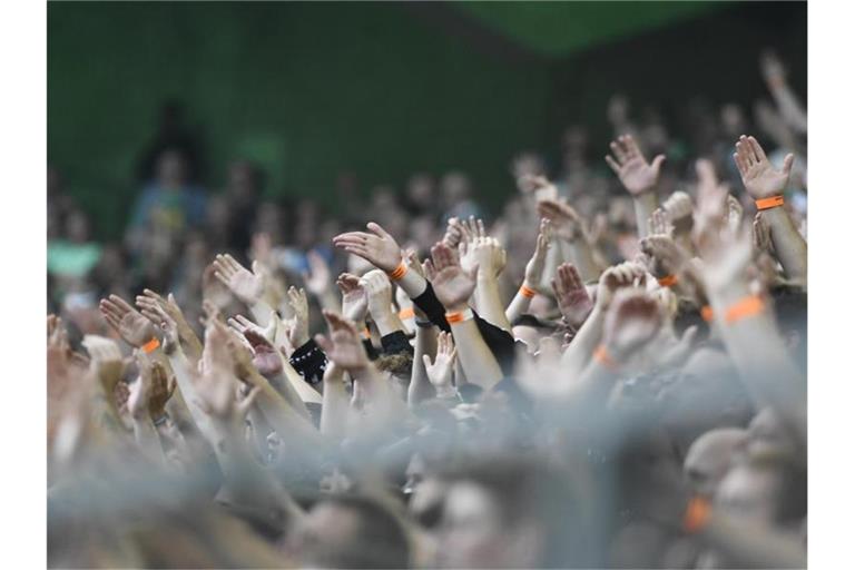 Fans jubeln im Stadion. Foto: Bernd Thissen/dpa/Symbolbild