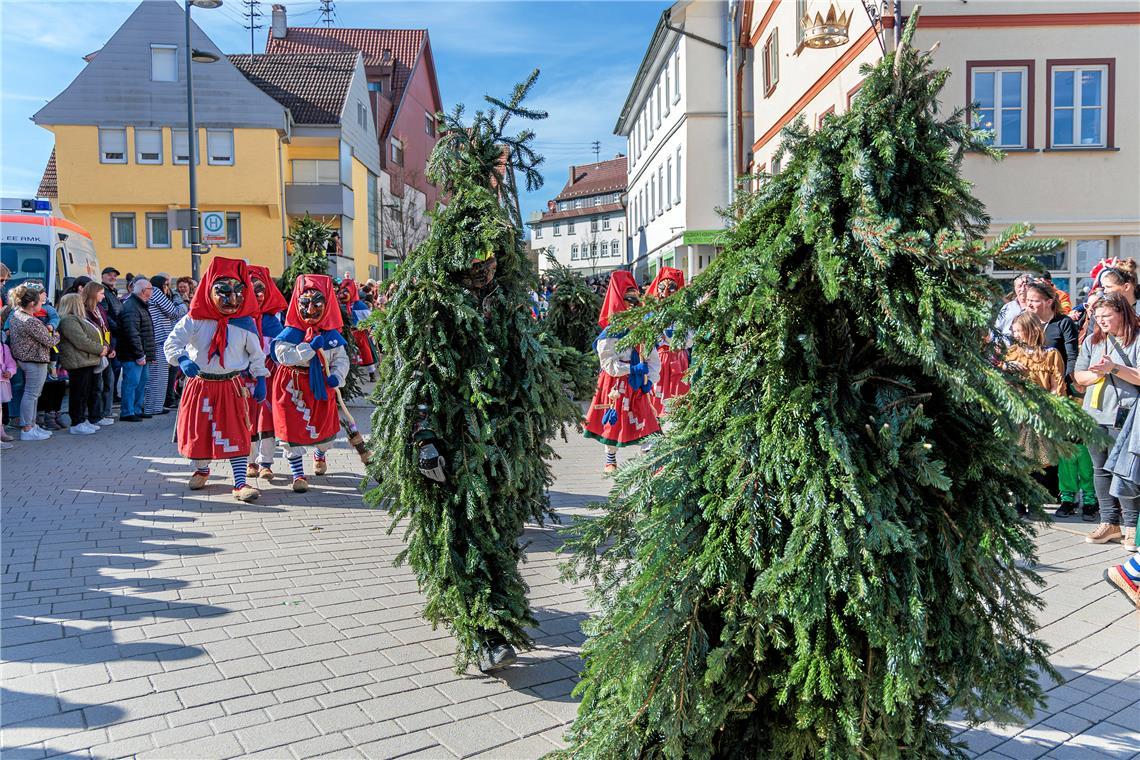 Faschingumzug 2025 des Sulzbacher Carnevalsvereins.